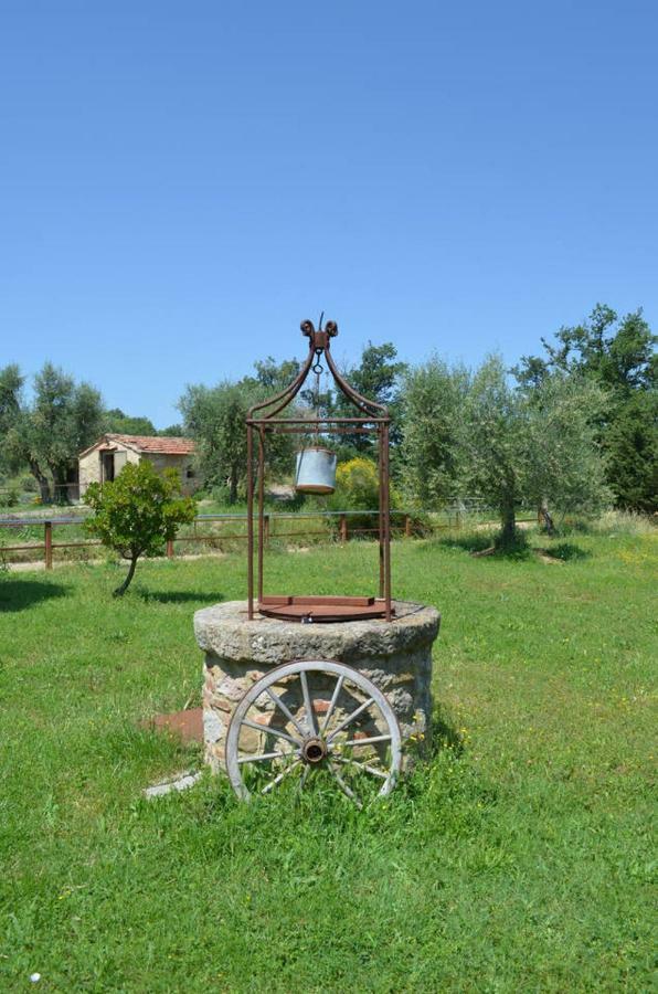 Penzion La Casina Degli Olivi Seggiano Exteriér fotografie